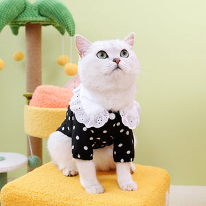 Dress Your Pet in Style: The Blue Pet T-Shirt Clothing Apparel