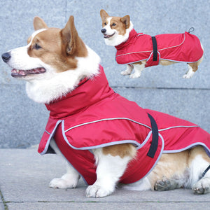 Keep Your Pet Cozy with Our Warm Shell Jacket