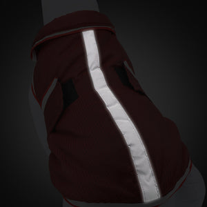 Keep Your Pet Cozy and Stylish This Season with Our Autumn Winter Warm Waterproof Pet Leisure Jacket