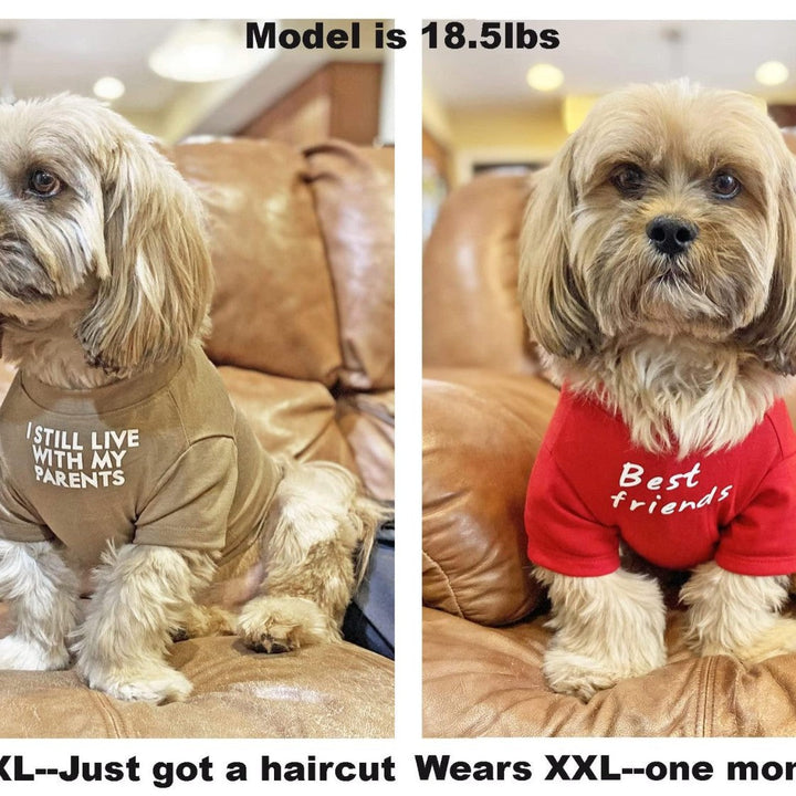 Dress Your Pet in Style with Our Round Neck Pet T-Shirt