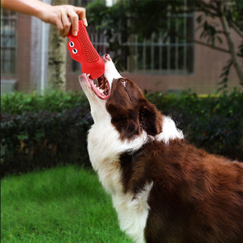 Discover the Perfect Chew Toy for Your Beloved Pet