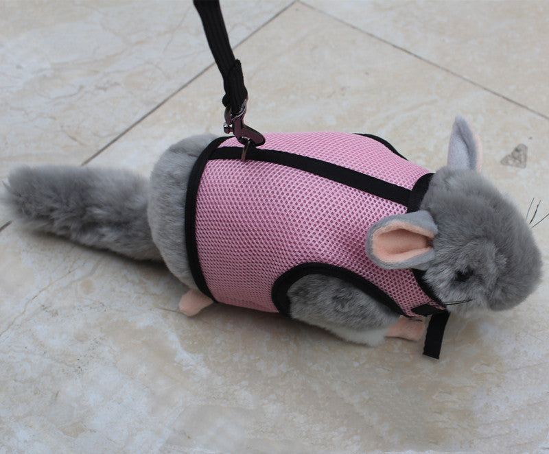 Small Pet Leash For Travel And Walking: The Ultimate Companion for Your Furry Friend
