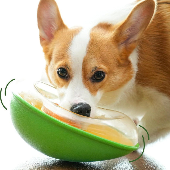 Why Your Pet Deserves the Avocado Shape Anti Tumble Pet Feeding Bowl