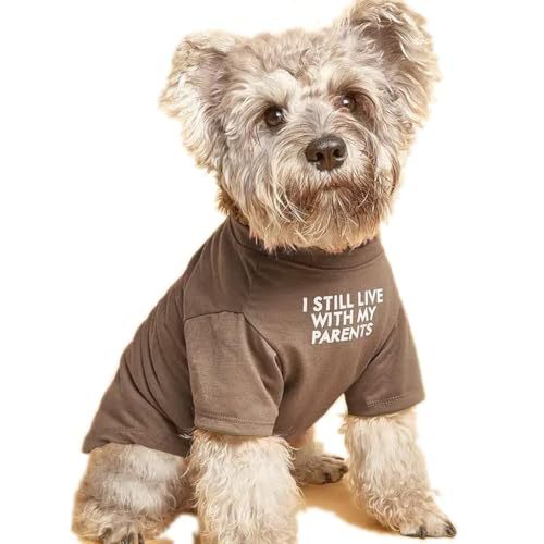 Round Neck Pet T-Shirt Clothing Apparel