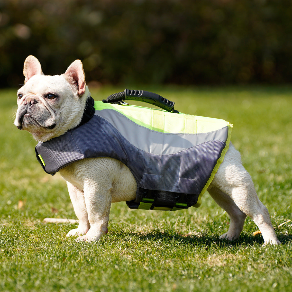 Reflective Pet Swim Life Jacket Safety Vest