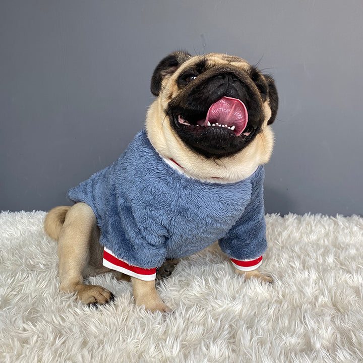 Pet Warm Sweater Clothing Apparel