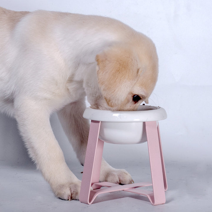 Antislip Pet Feeding Bowl With Iron Stand 2 In 1
