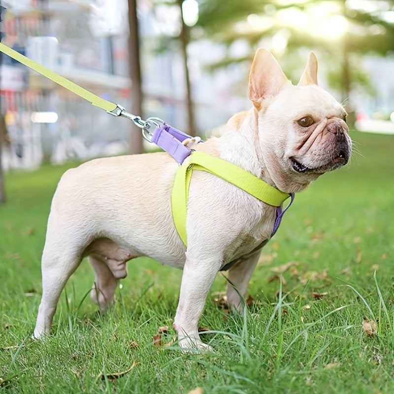 Rainbow Colorblock Pet Harness Set Anti Escape Vest With Leash