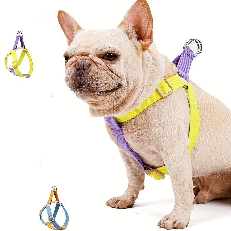 Rainbow Colorblock Pet Harness Set Anti Escape Vest With Leash