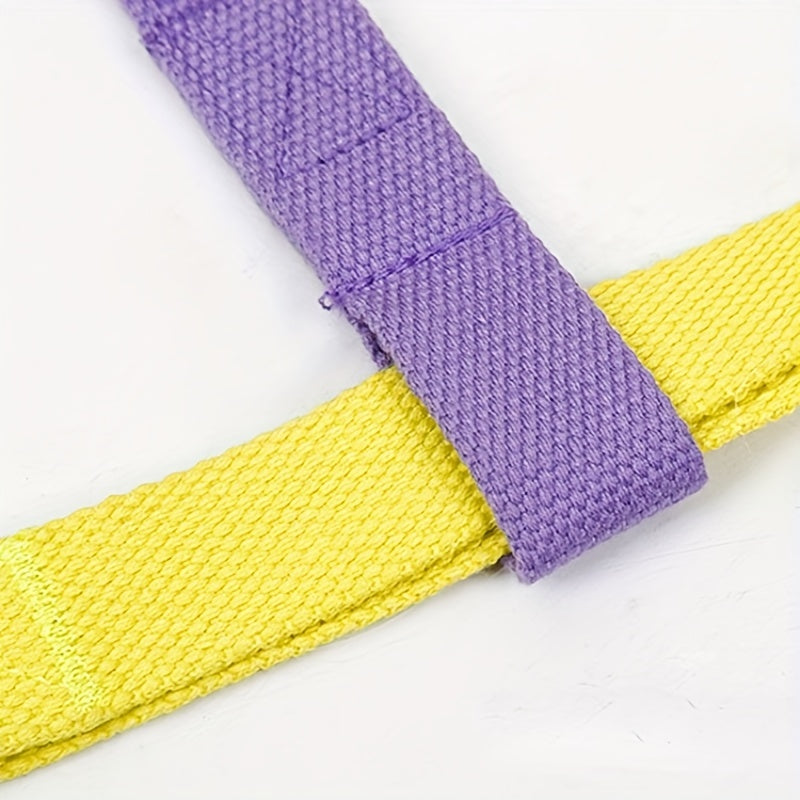 Rainbow Colorblock Pet Harness Set Anti Escape Vest With Leash