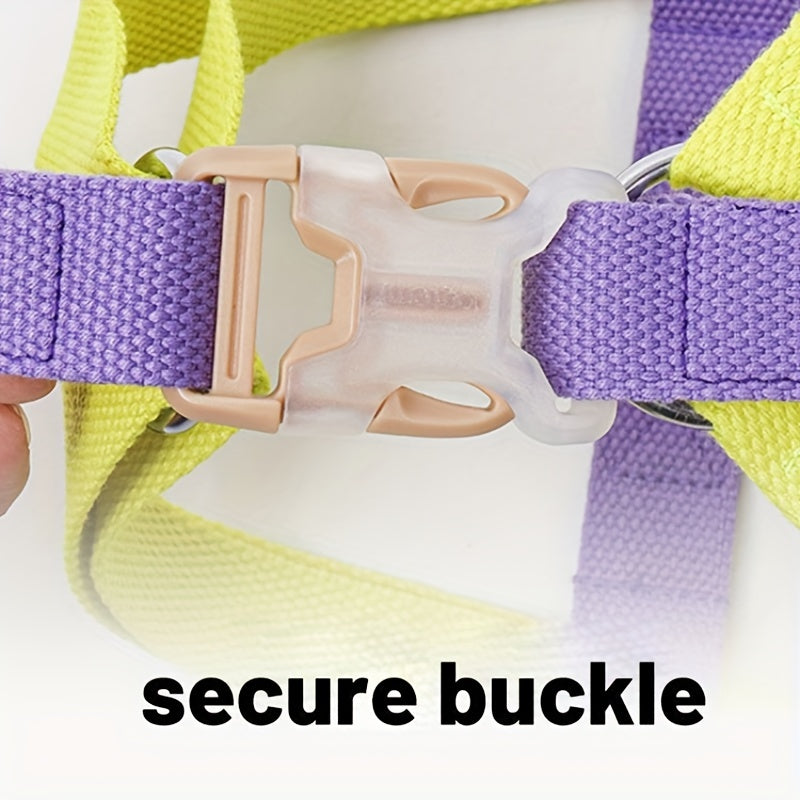 Rainbow Colorblock Pet Harness Set Anti Escape Vest With Leash