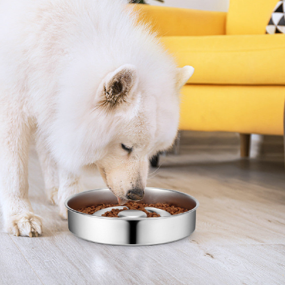 Stainless Steel Pet Slow Feeding Bowl With Neck Support