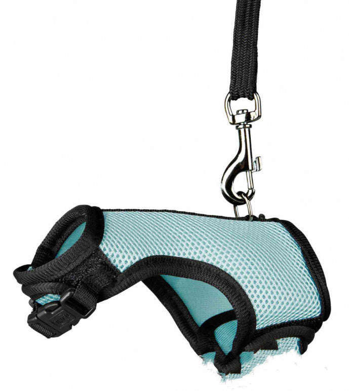 Small Pet Leash For Travel And Walking