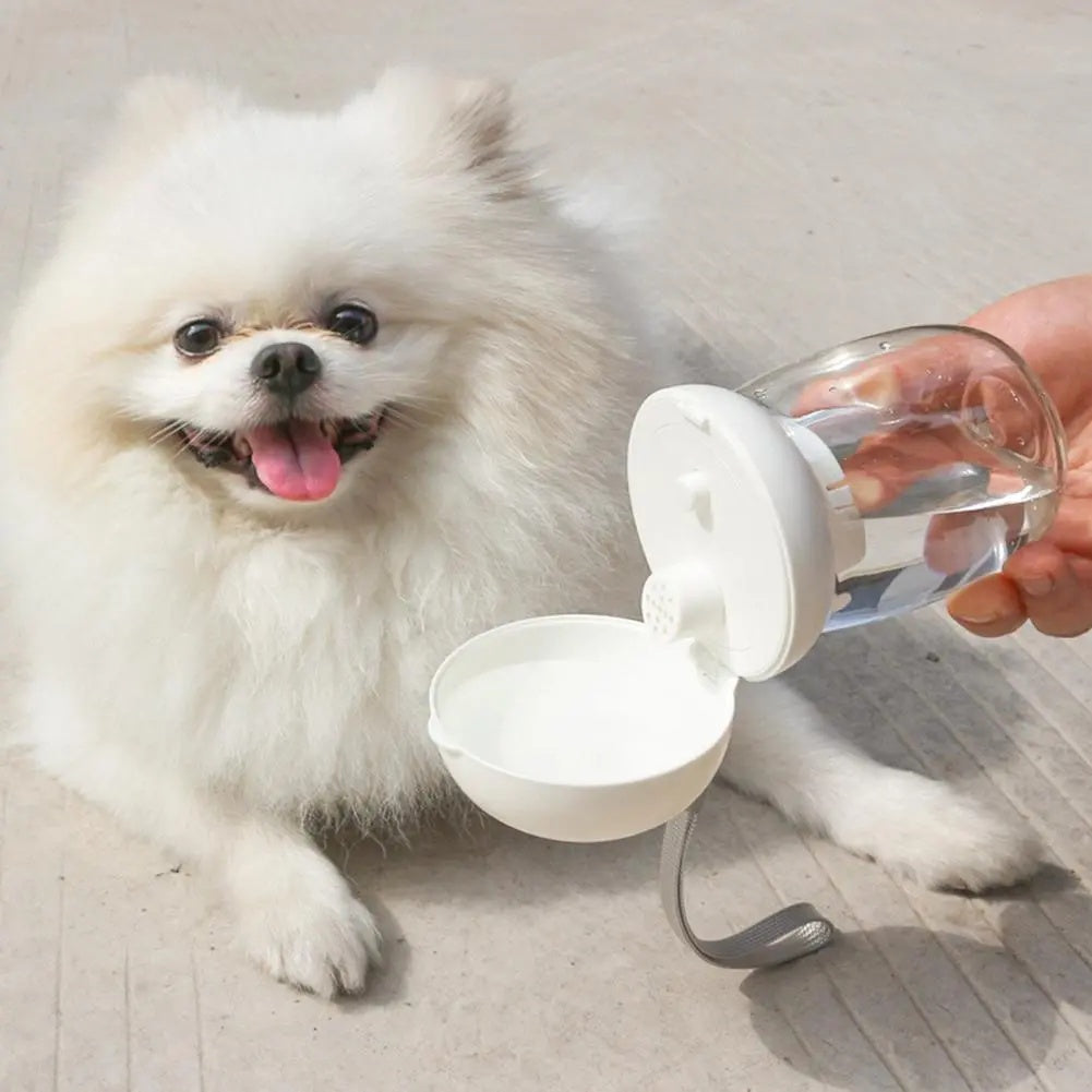 Portable Pet Water Bottle With Bowl And Lanyard