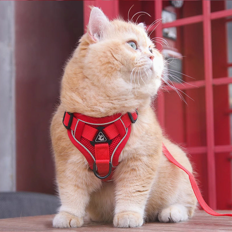 Pet Vest Harness With Chest Strap And Leash