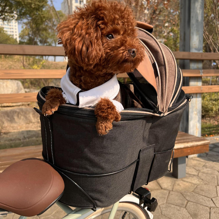 Foldable Canvas Pet Rear Seat Carrier Bag
