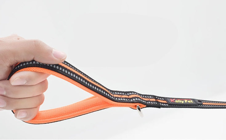 Retractable Nylon Pet Leash Assisted Control