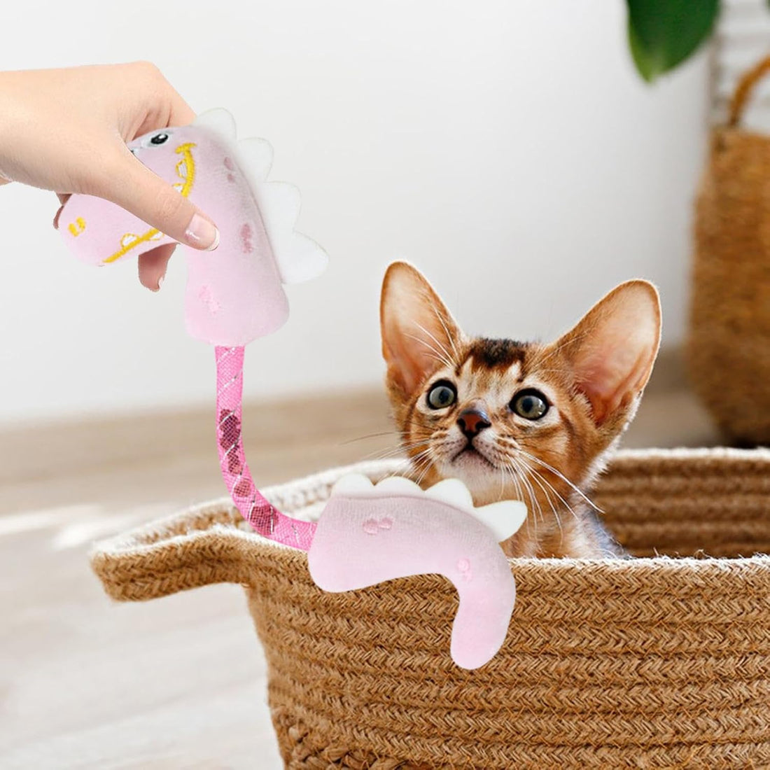 Interactive Pet Chew Toy Catnip Rope Teeth Cleaning Springs