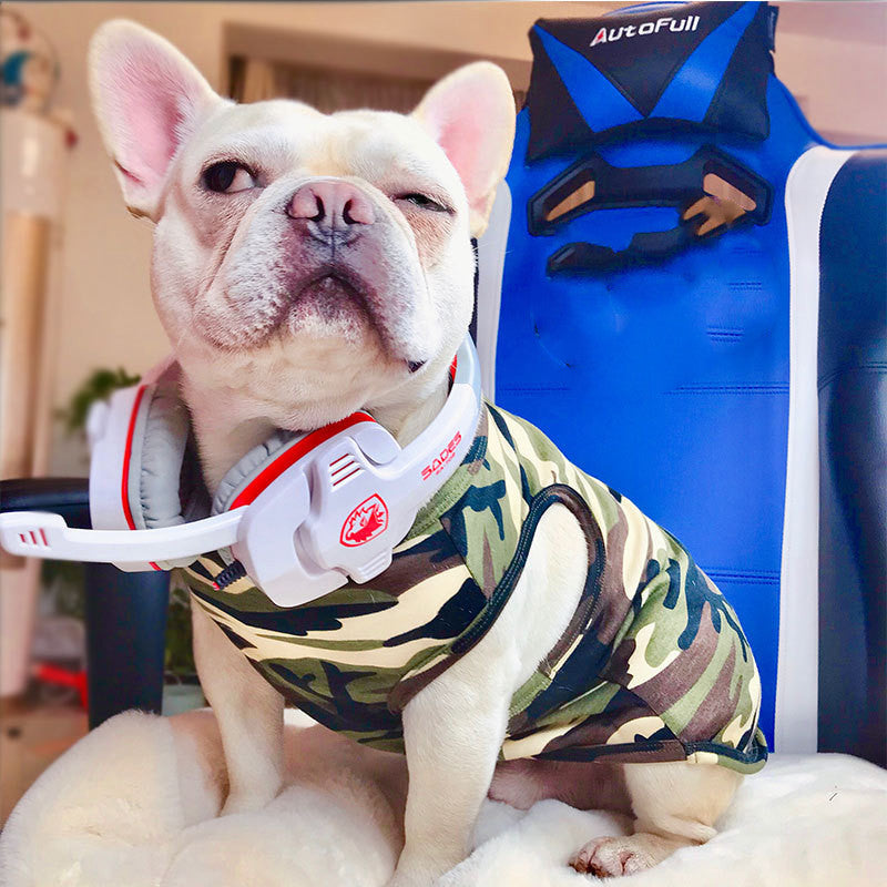 Pet Fashion T-Shirt Summer Lightweight Clothing