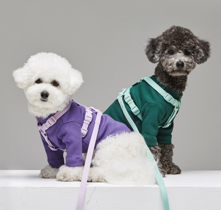 Macaron Style Pet Leash