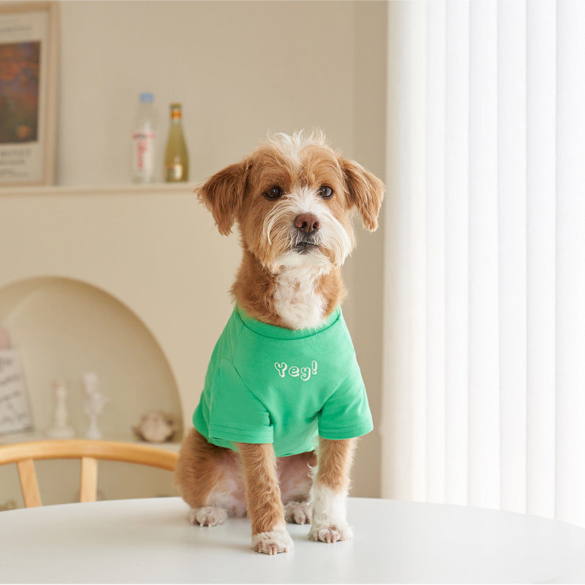 Korean Style Cotton Short Sleeve Pet T-Shirt Apparel