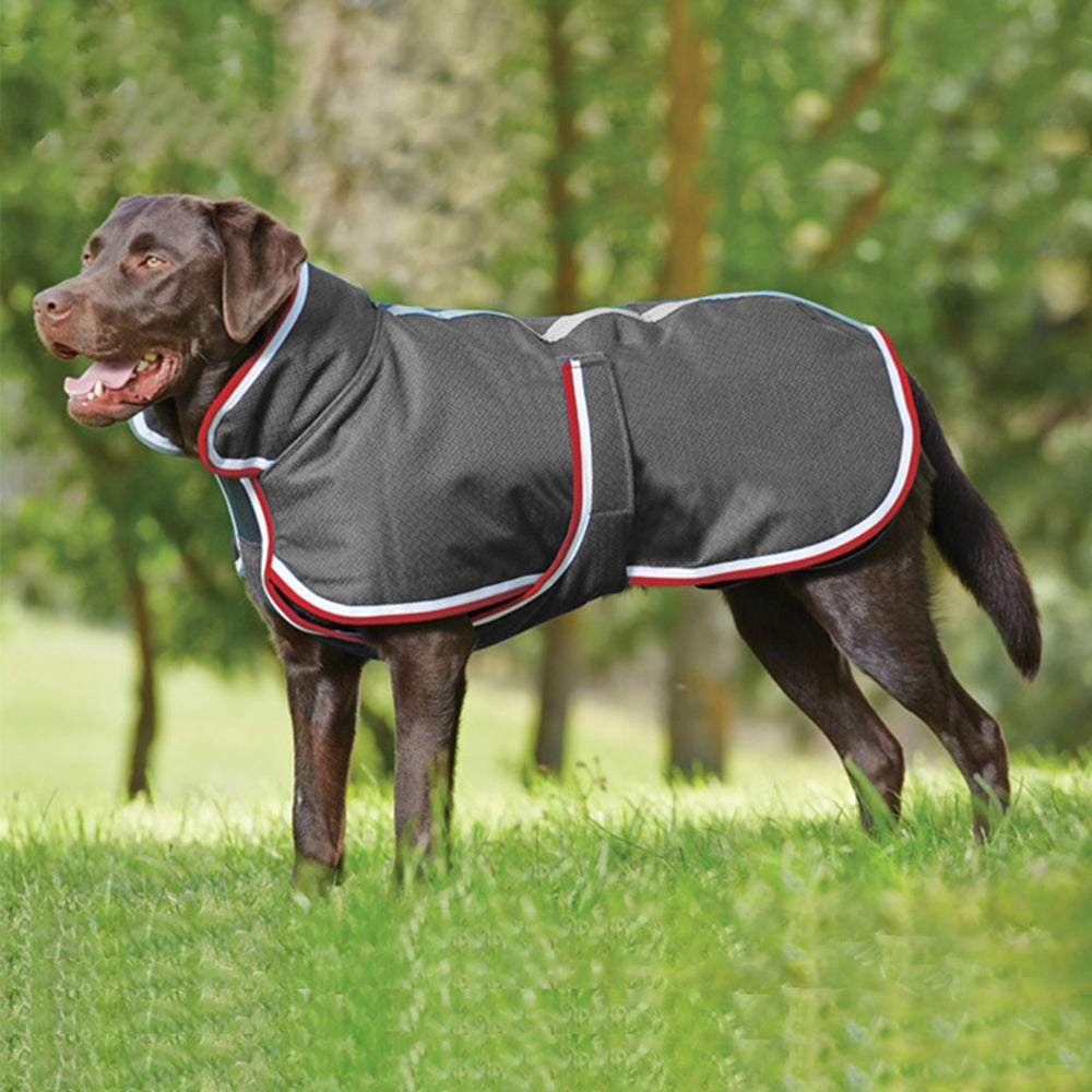 Autumn Winter Warm Waterproof Pet Leisure Jacket