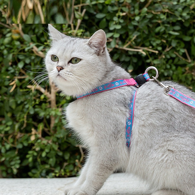 Bell Chest Strap Pet Harness Vest With Leash