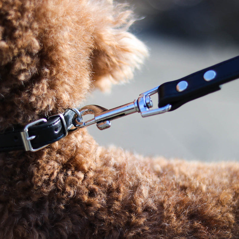 Pet Collar And Leash Set