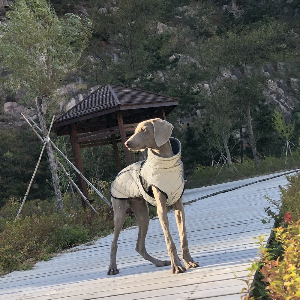 Full Body Reflective Tactical Pet Jacket