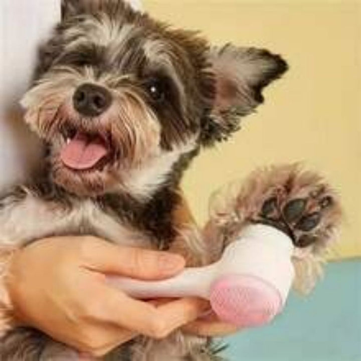 Easy Clean Nylon Paw Grooming Massage Brush Tool