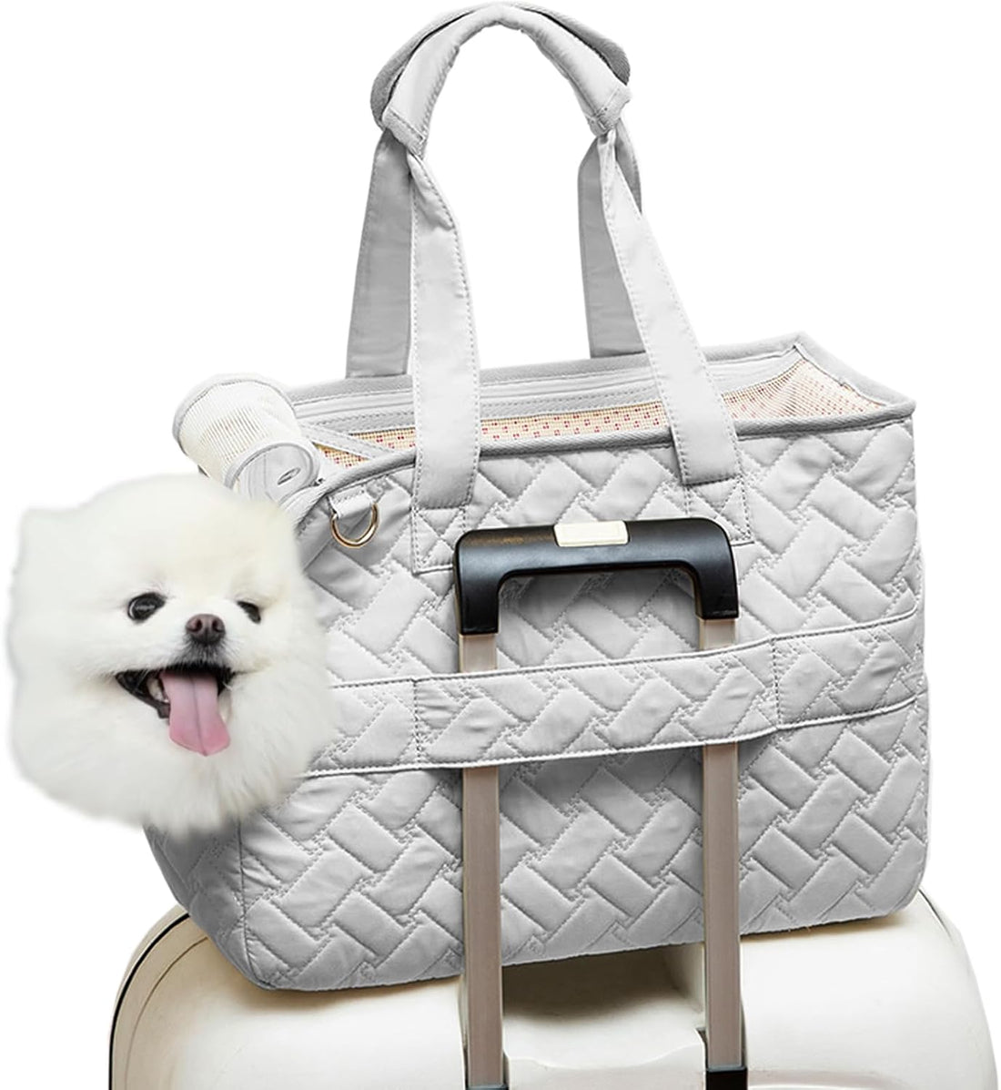 Breathable Mesh Pet Carrier Handbag With Soft Cushion And Pockets