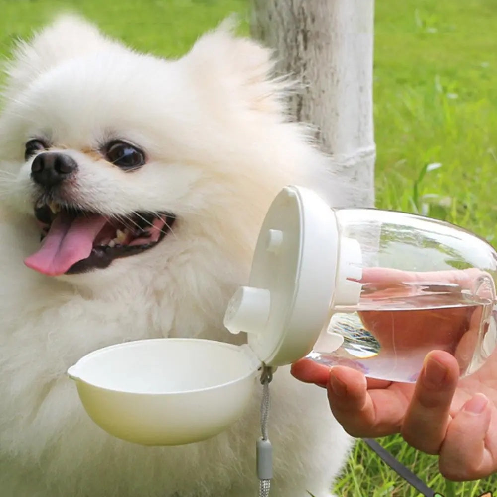 Portable Pet Water Bottle With Bowl And Lanyard