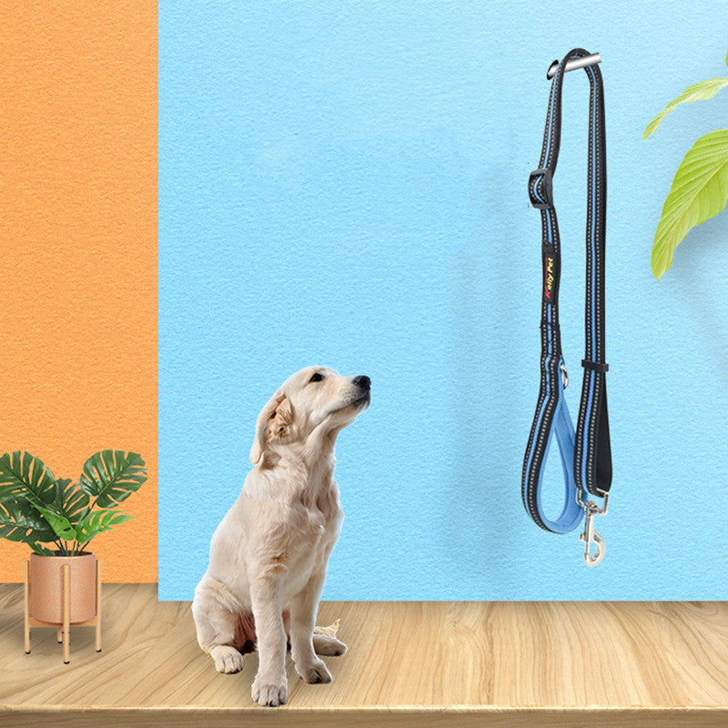 Retractable Nylon Pet Leash Assisted Control