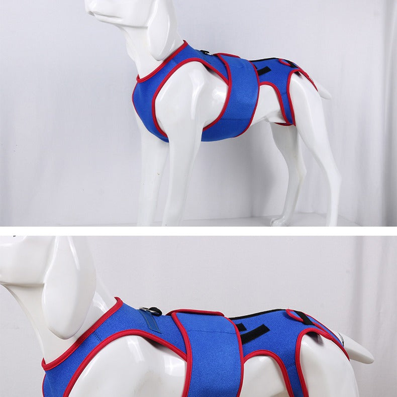 Pet Spine Support Posture Correction Jacket