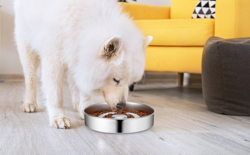 Stainless Steel Pet Slow Feeding Bowl With Neck Support